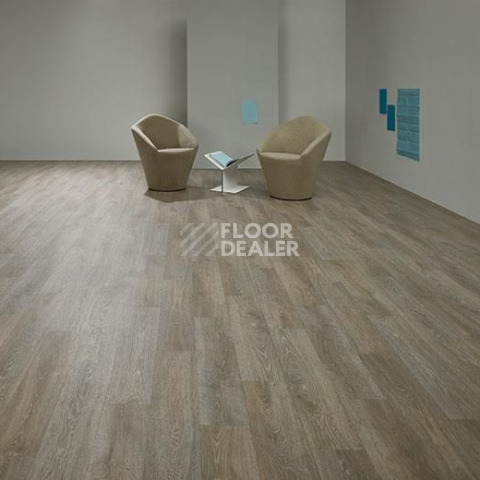 Forbo Eternal Wood 12862 grey oak фото 2 | FLOORDEALER